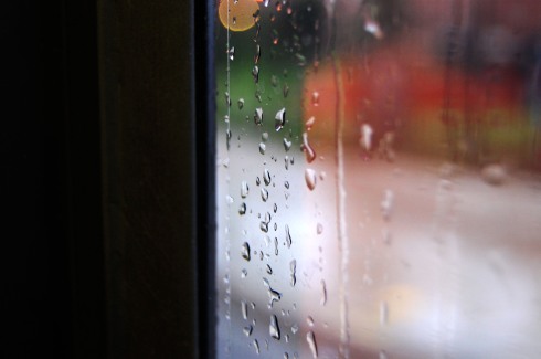 Rain on Bus Window