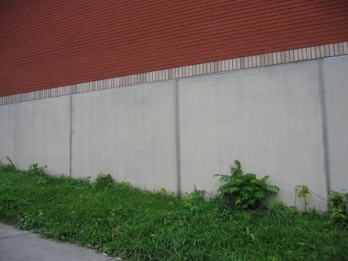 Brick Wall, Albany